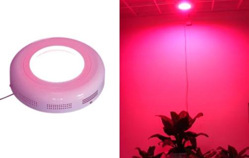 Какая функция LED Grow Lights